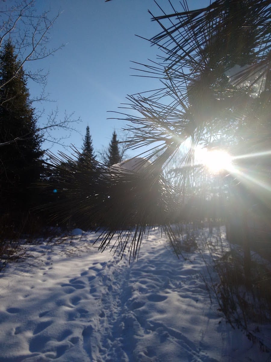 Cardinal Woods Park