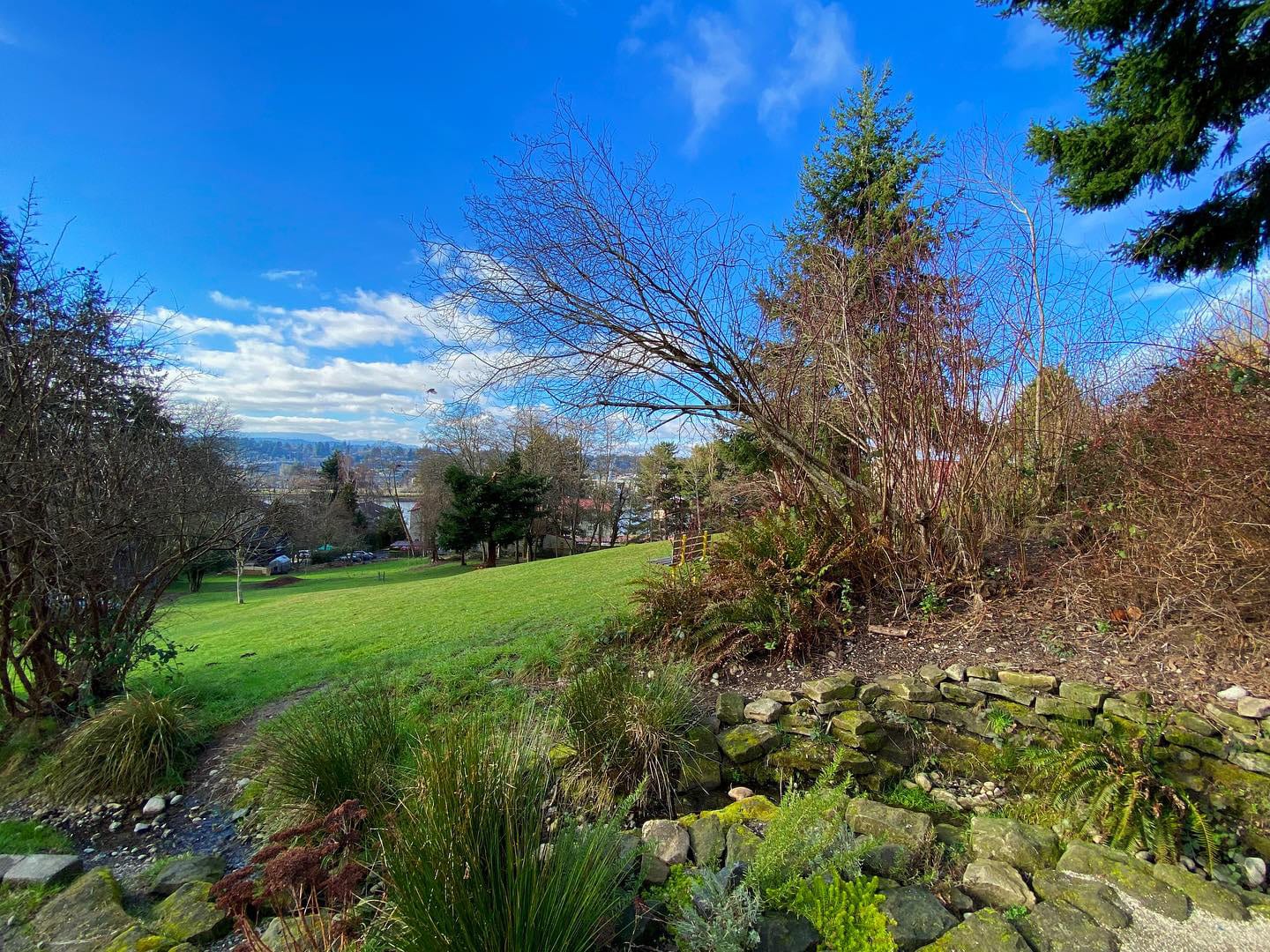 Bigelow Springs Park, photo 3