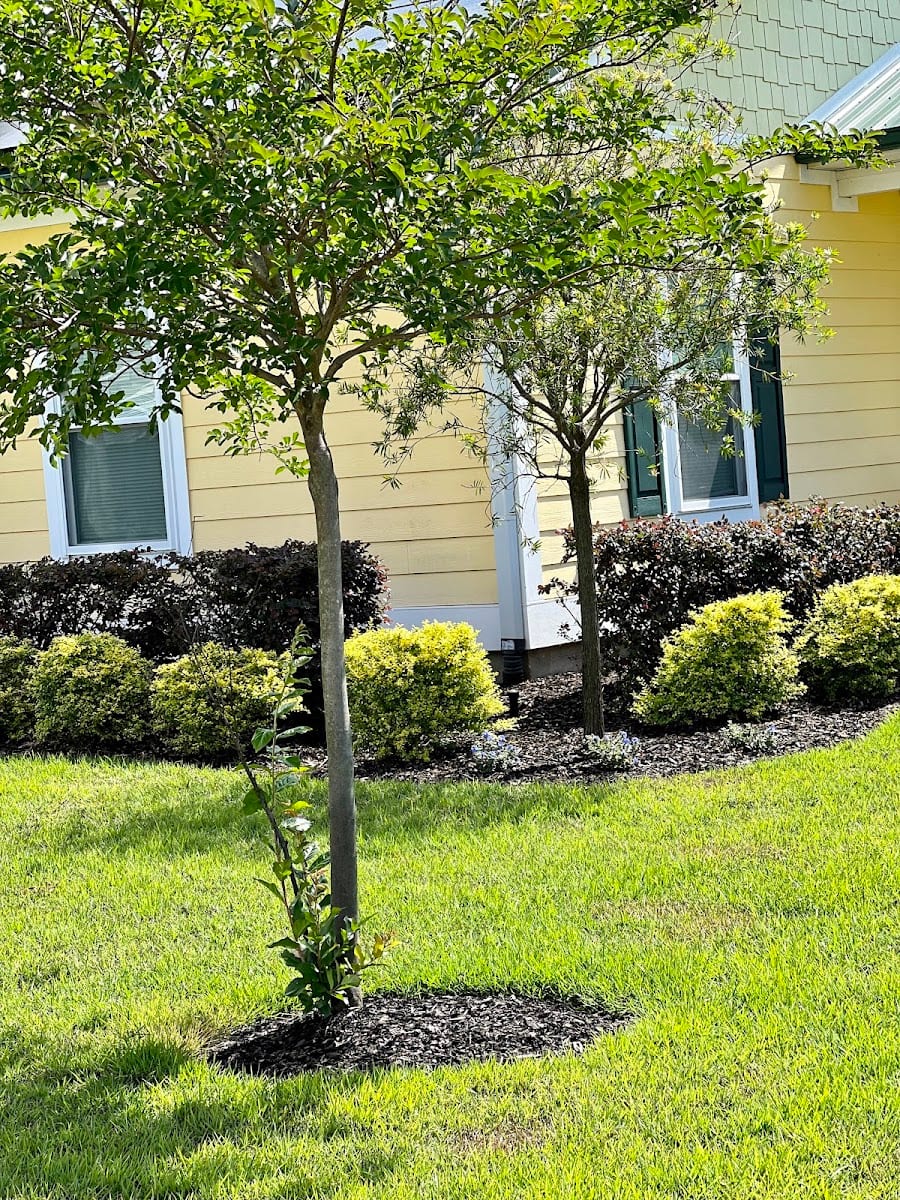 Apex Outdoors of Bay County LLC, photo 3