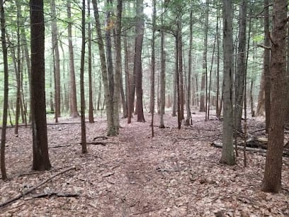 Hemlock Trail
