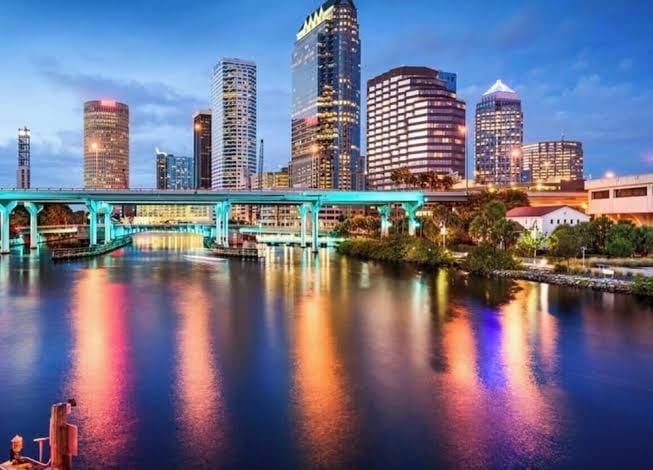 Near Airport & Sports Venues: Tampa Sanctuary!, photo 3