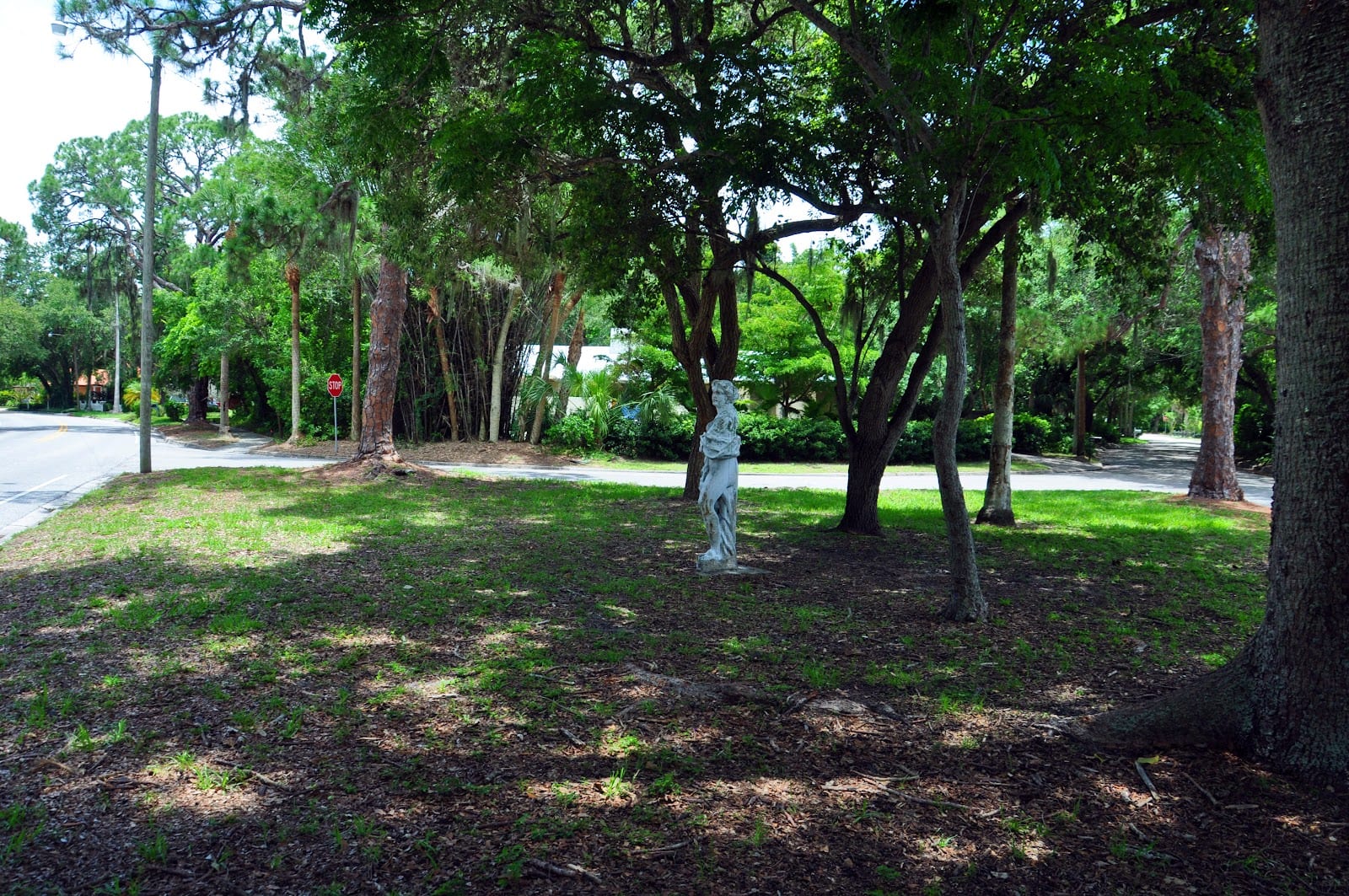McClellan Grass Patch, photo 3