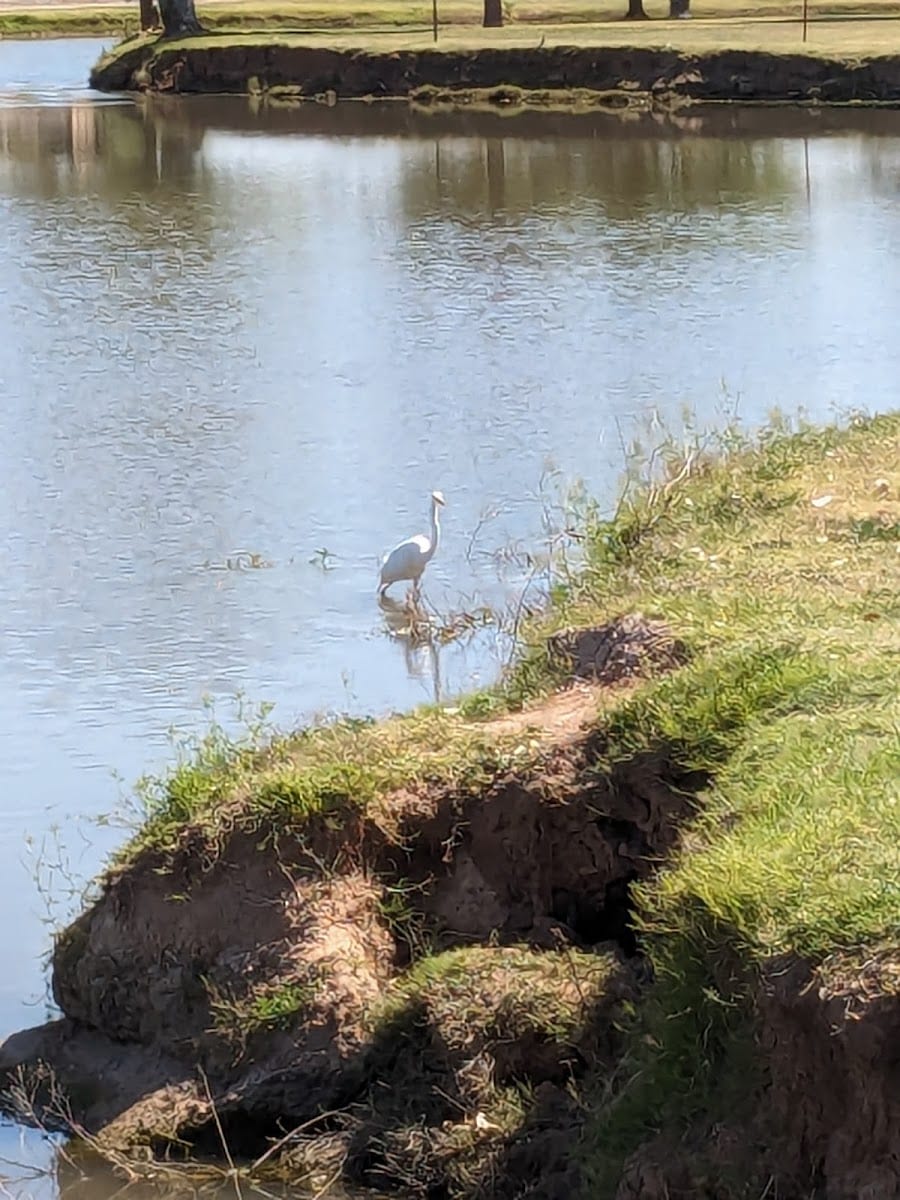 Vista del Camino Disc Golf Course, photo 3