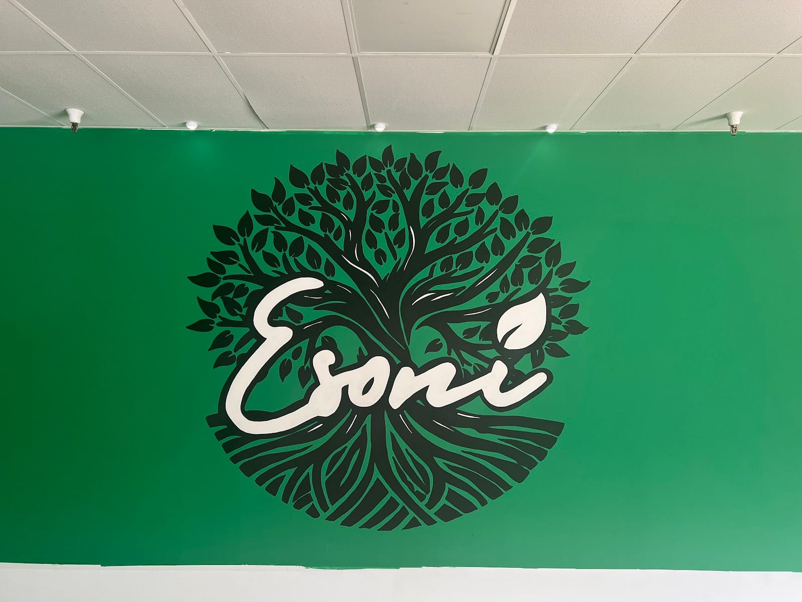 Esoni, photo 2