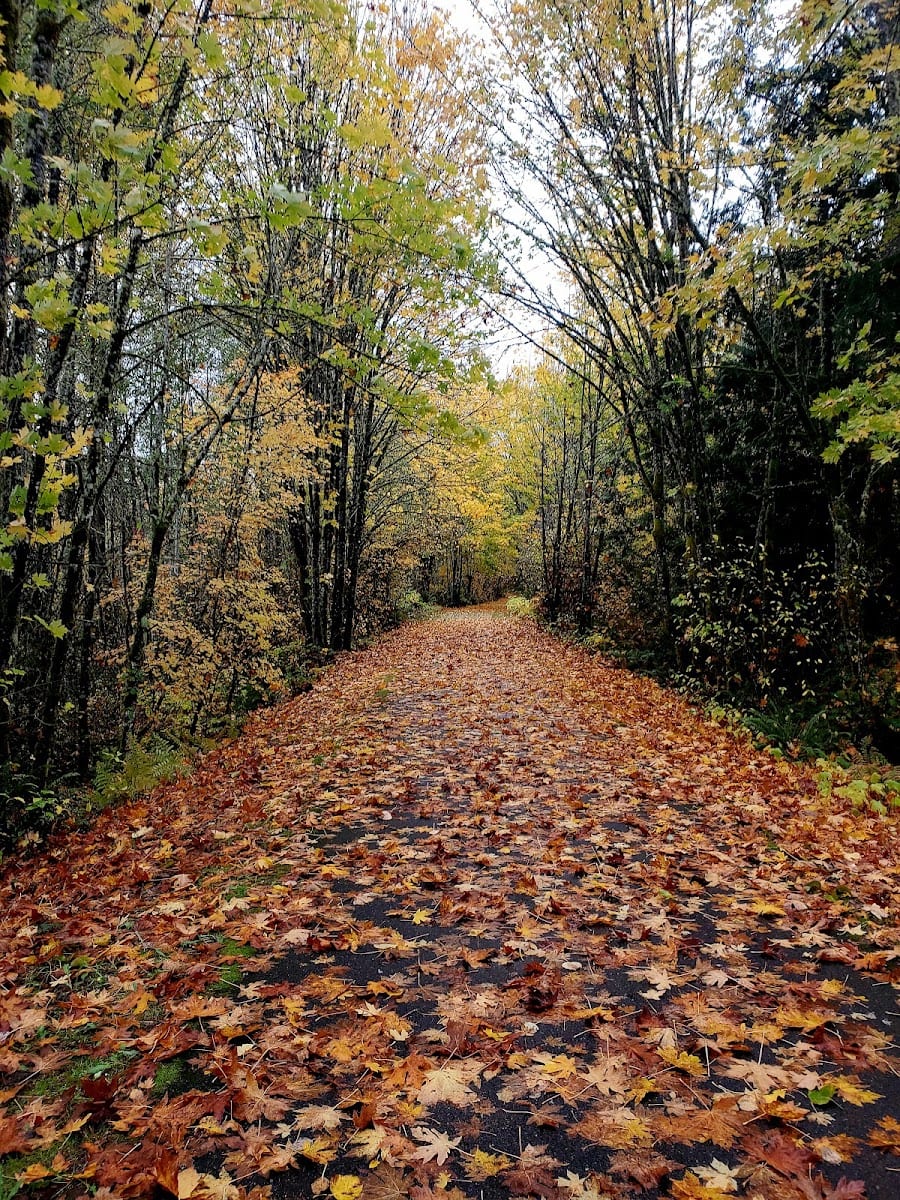 Chehalis Western Herman Rd Trailhead