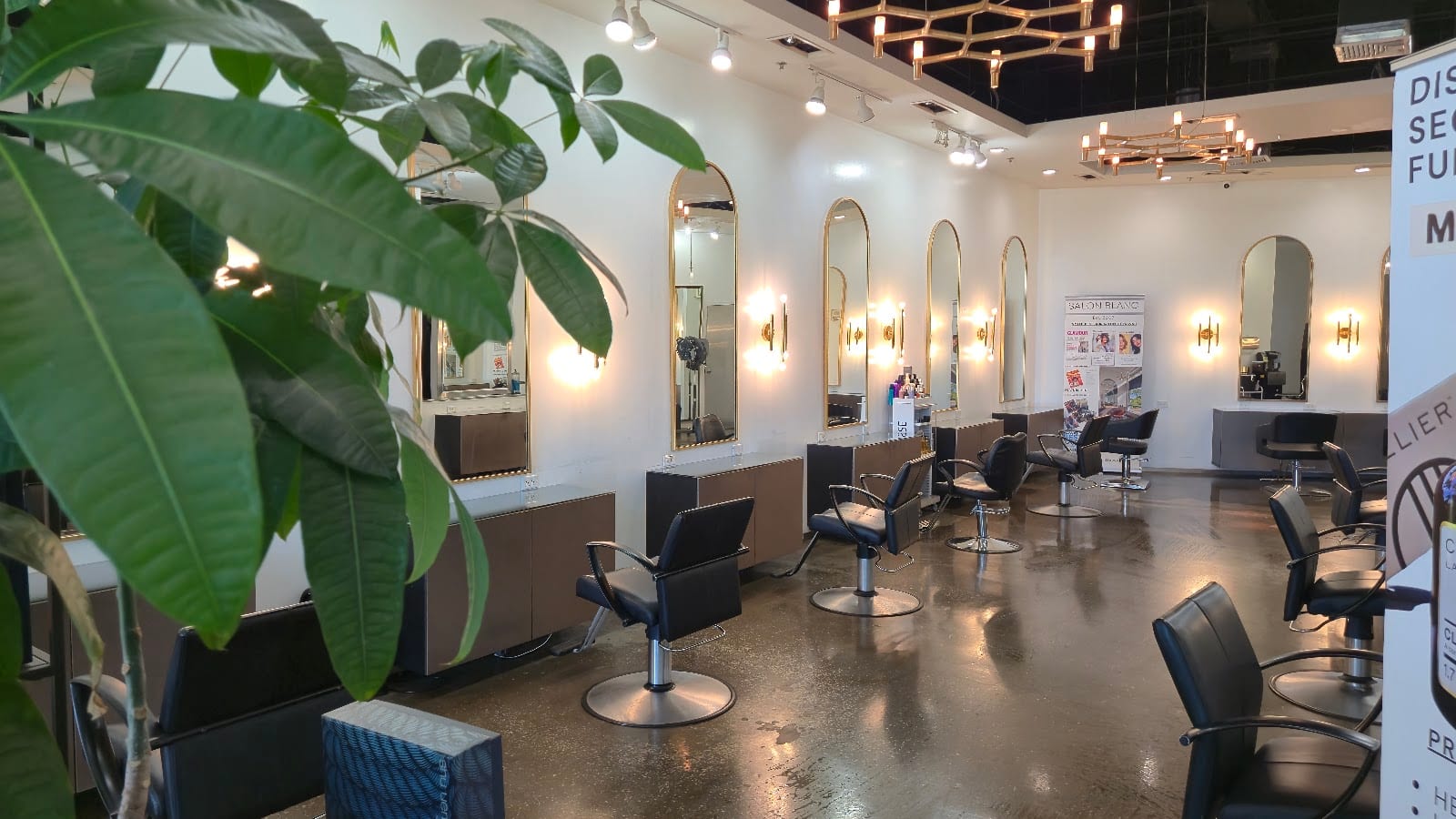 Salon Blanc, photo 2