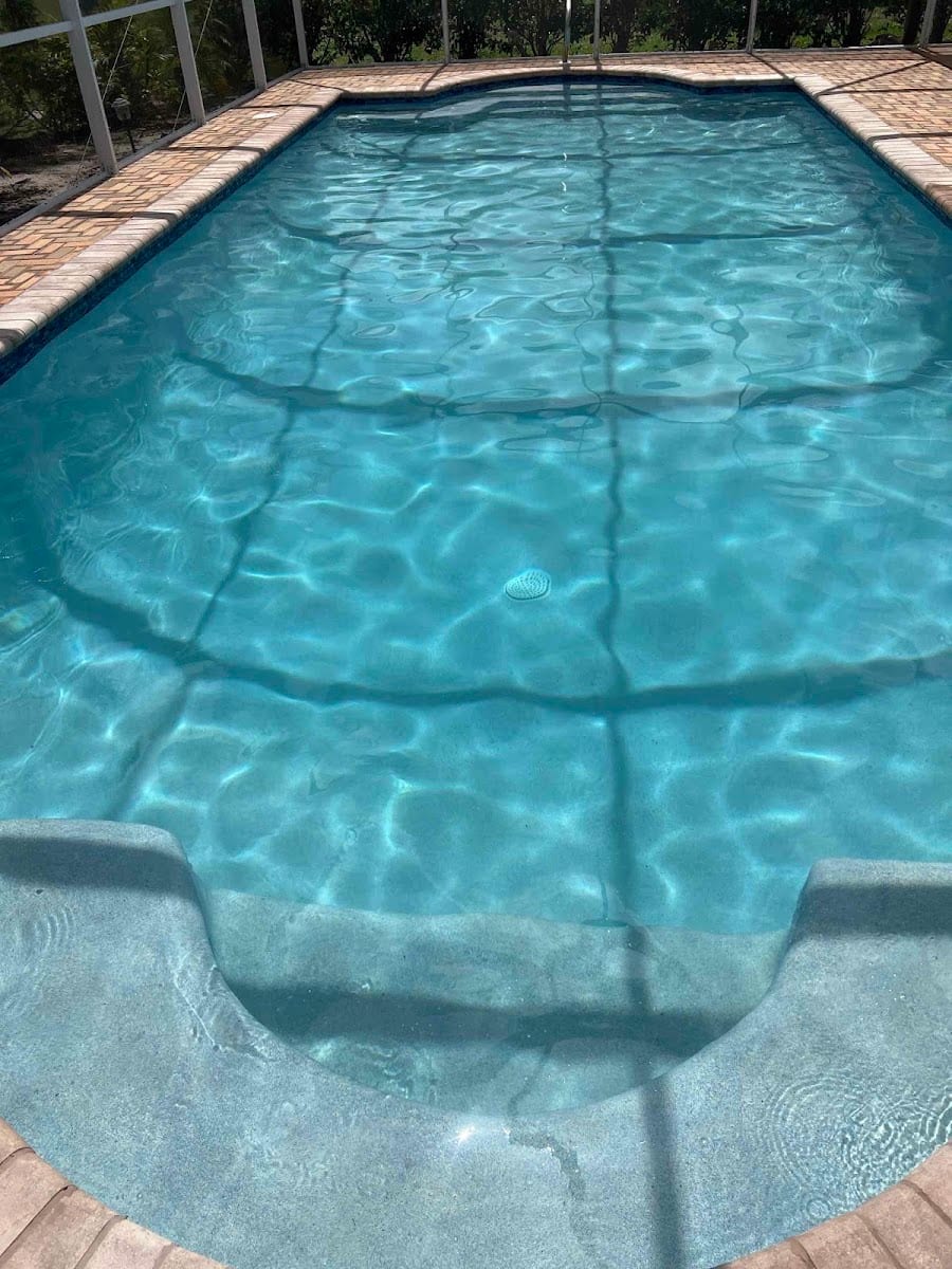 The Pool Professor, photo 2