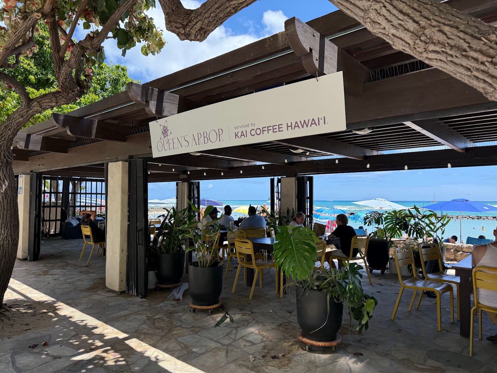 Kai Coffee Hawaii | Queen’s Arbor