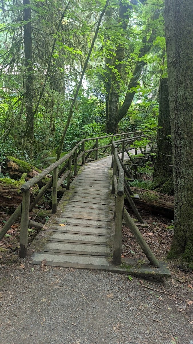 Squaxin Park (Priest Point), photo 2