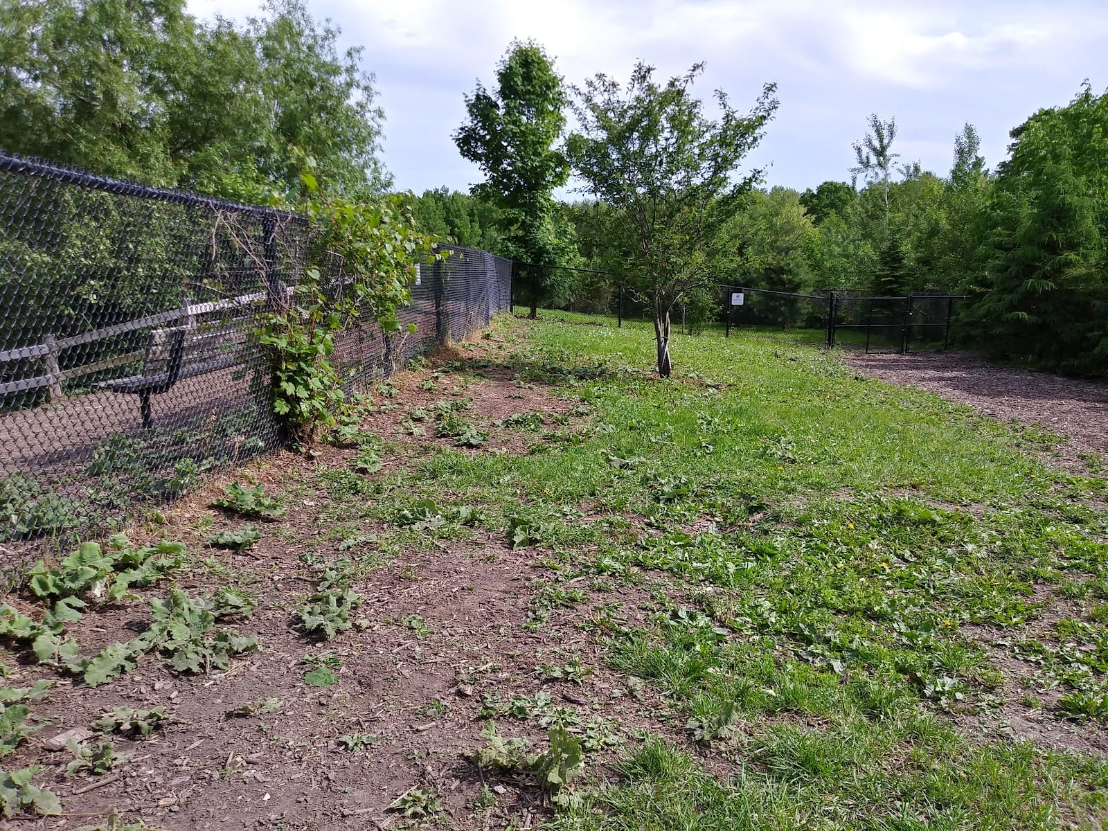 Tower Hill Dog Park, photo 3