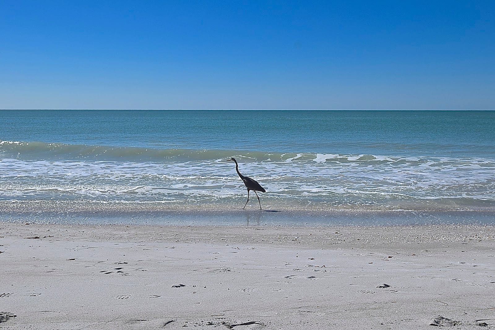 Seagrove At Siesta Key
