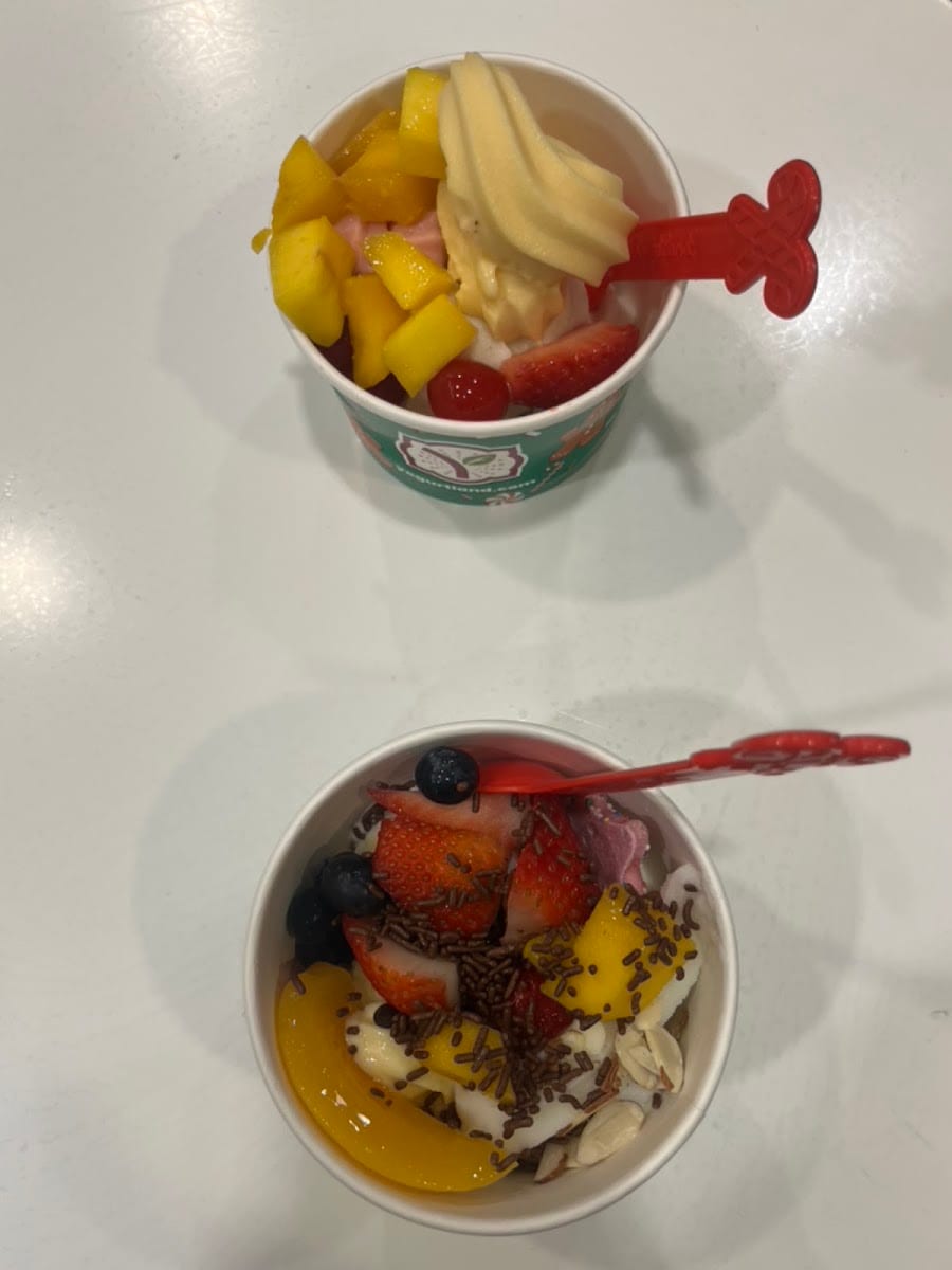 Yogurtland Costa Mesa, photo 4