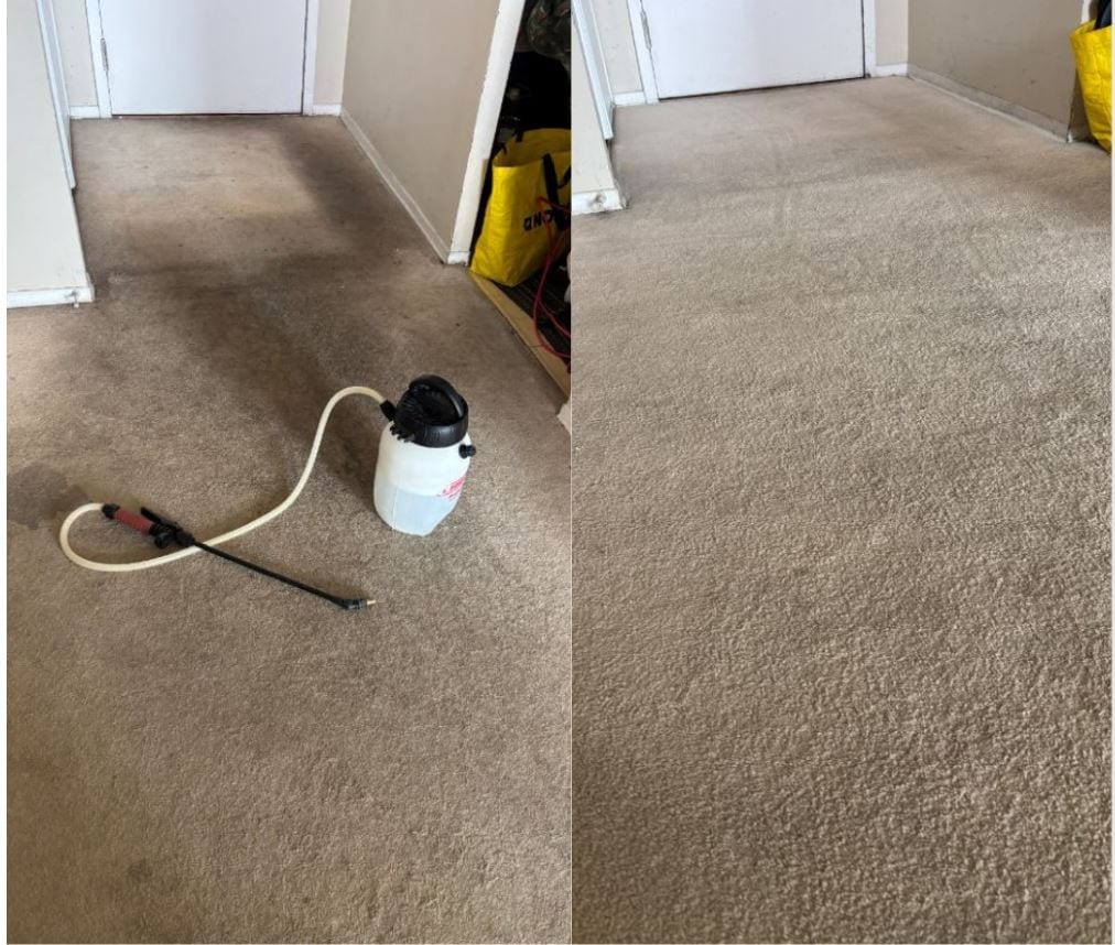 iCleanse Carpet and Upholstery Cleaning