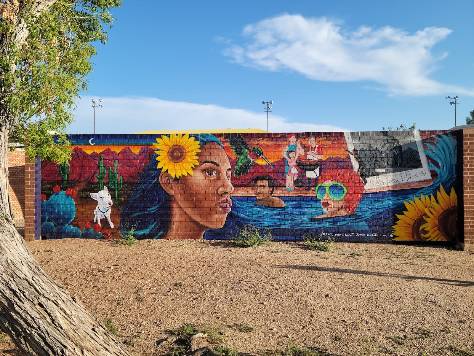 Palo Verde Park, photo 3