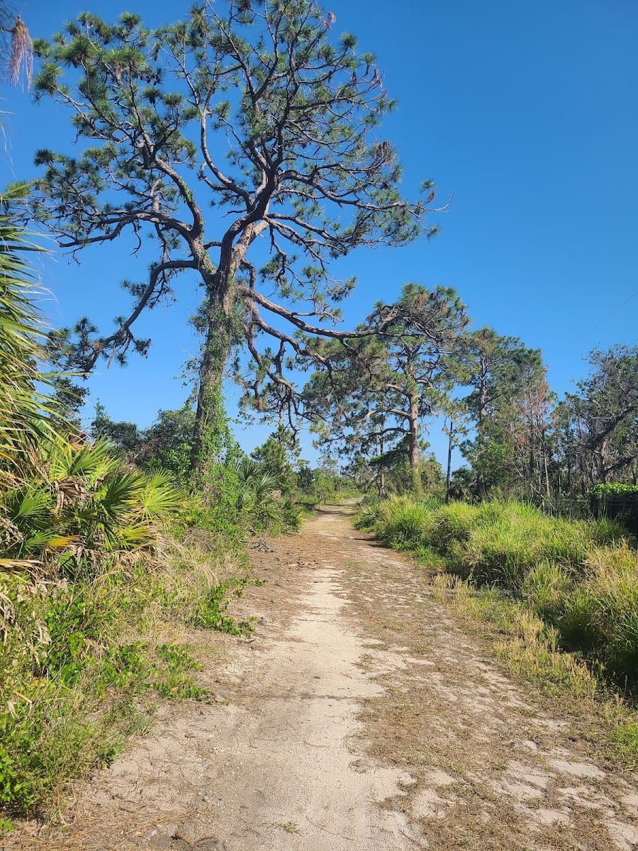 South Venice Bay Preserve, Ocelot Rd entrance