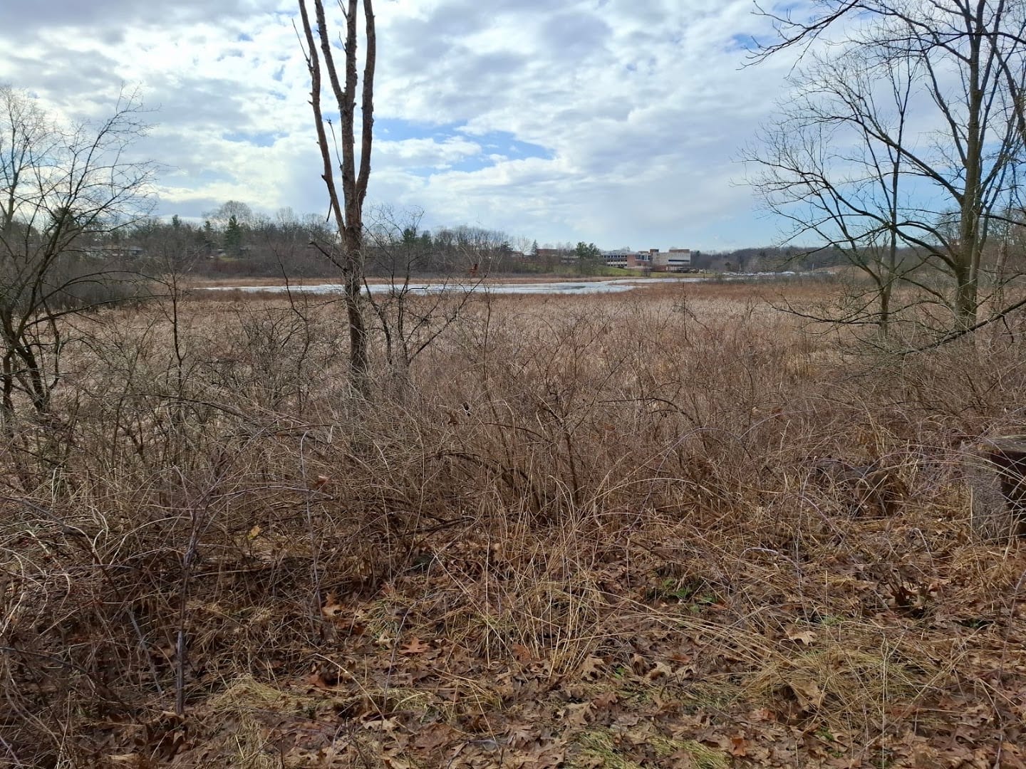 Kolb Park, photo 3