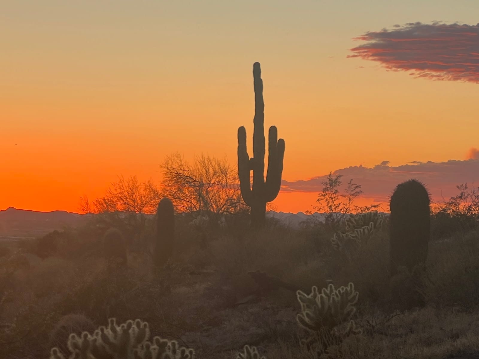 Javelina Trail Head