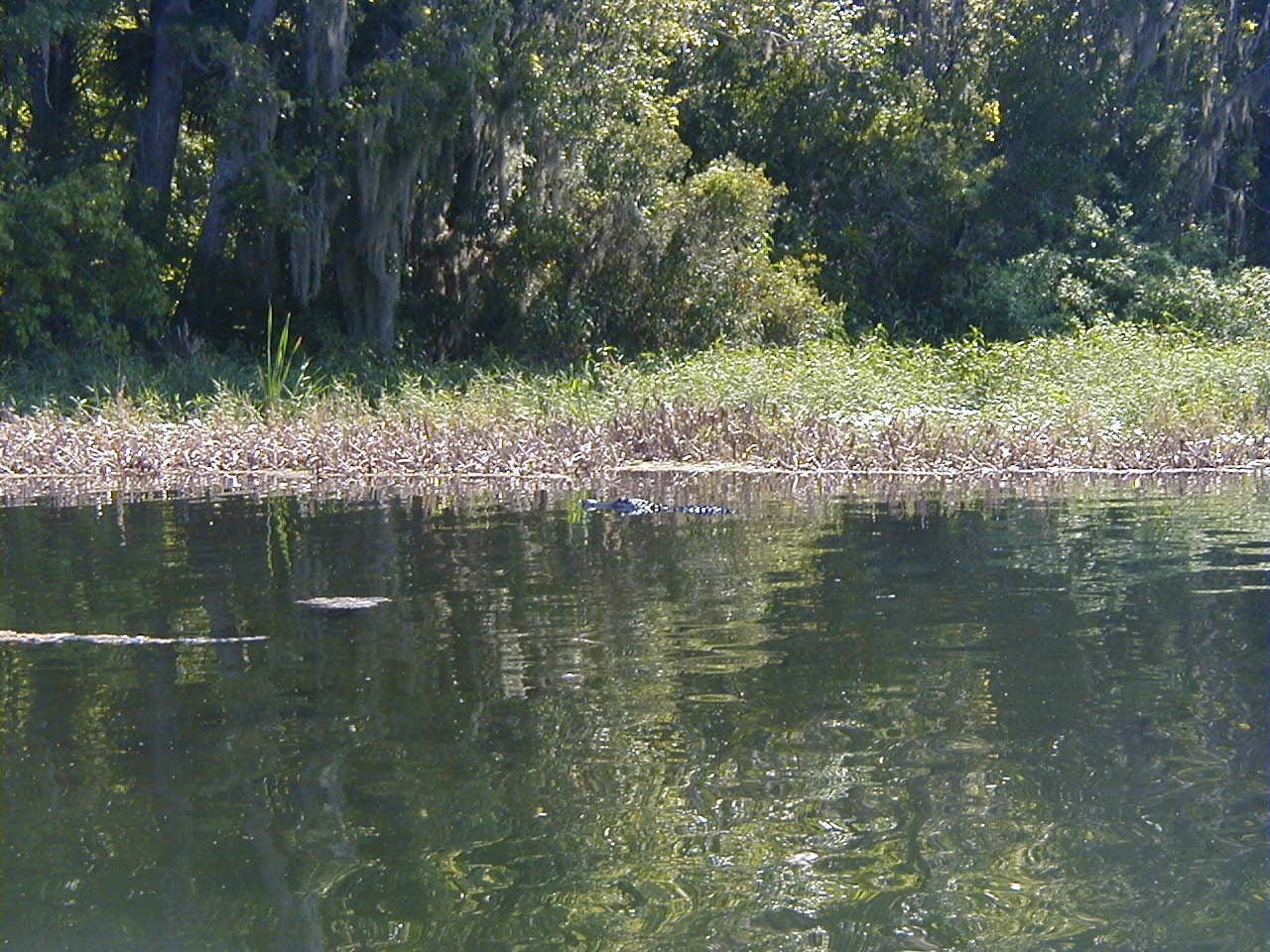 Orange Park Painters, photo 2