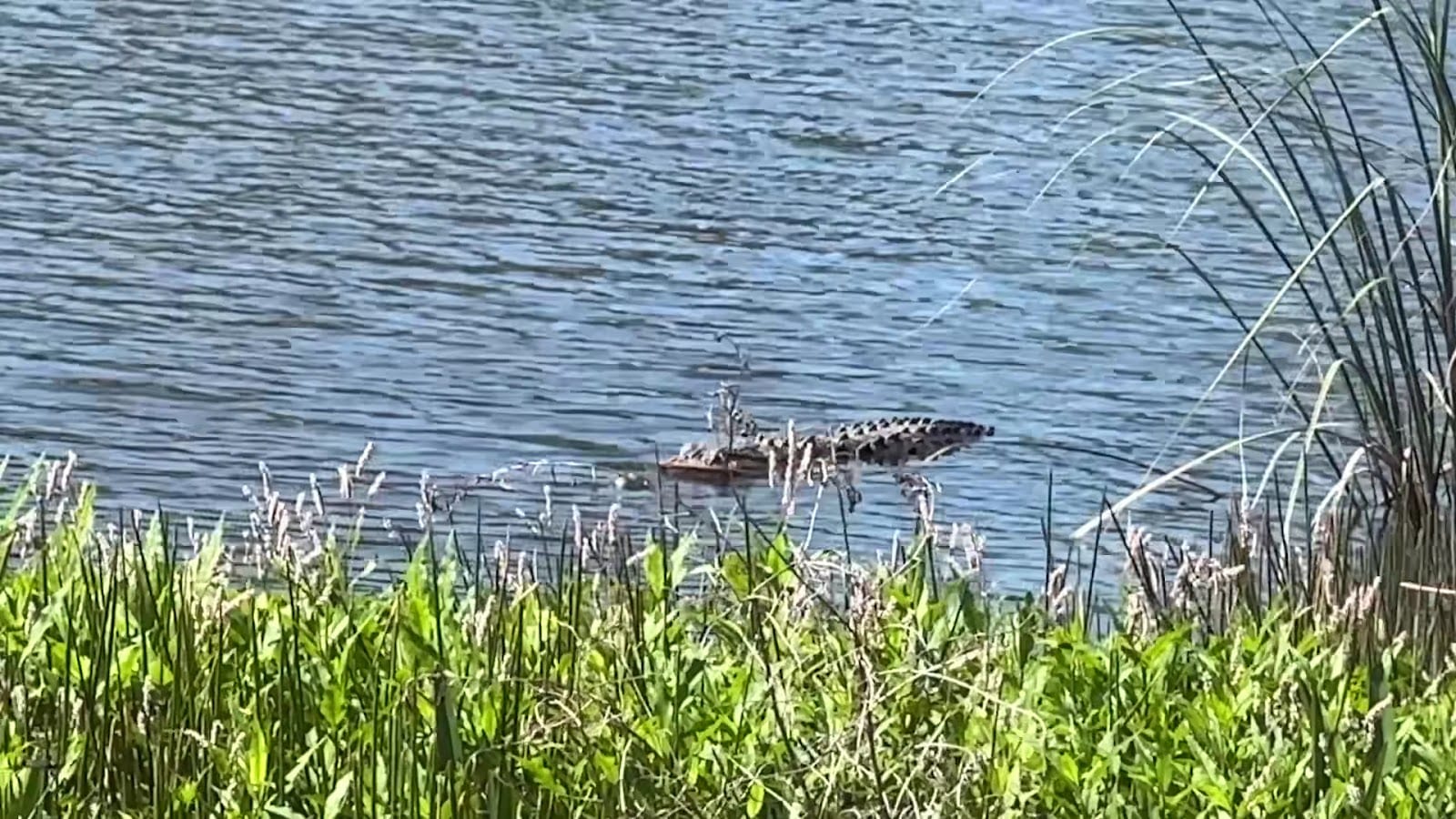 Nature Park, photo 2