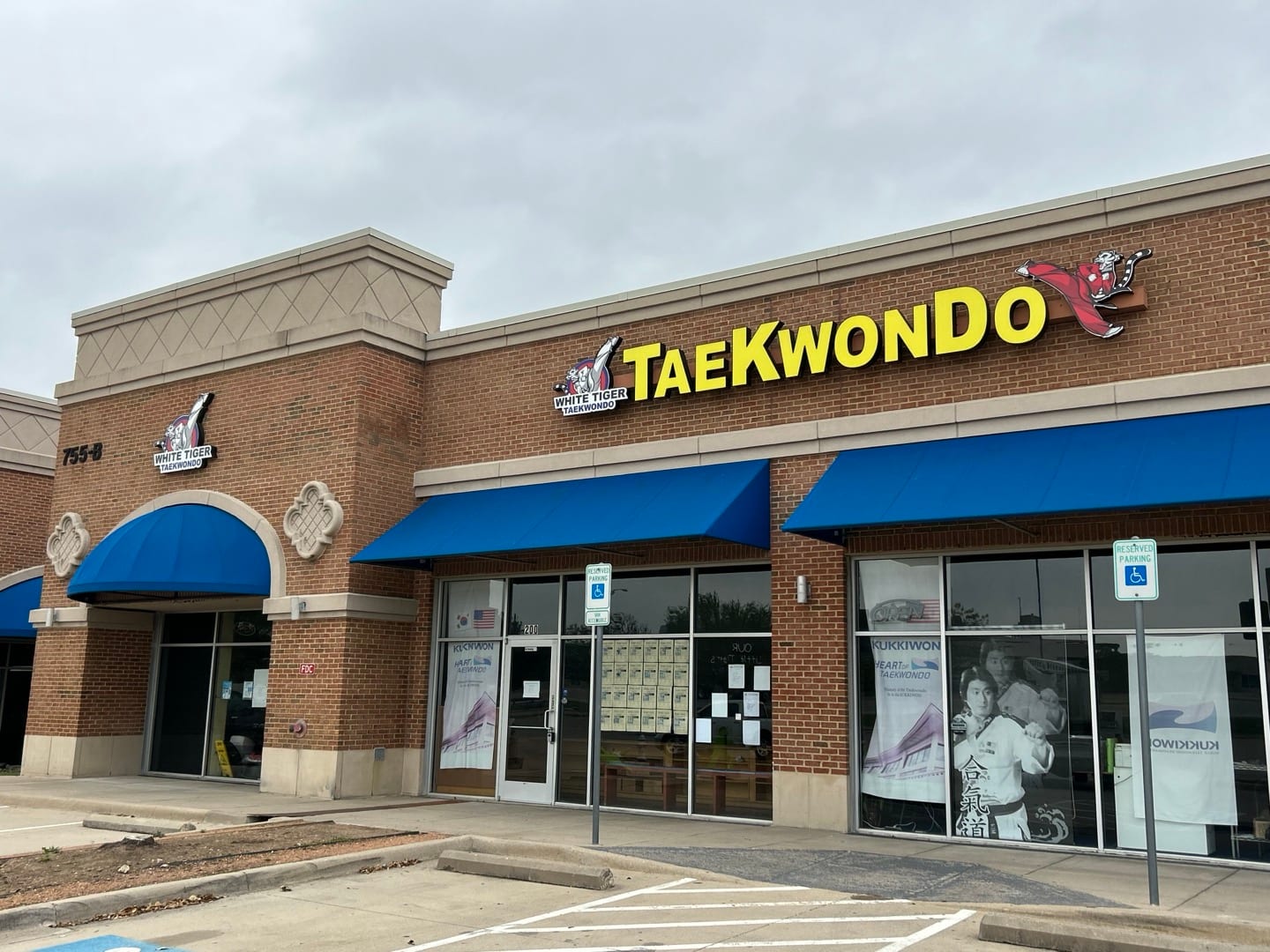 Elite White Tiger Taekwondo(Lewisville / Coppell), photo 4