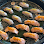 Ginza Sushi Express