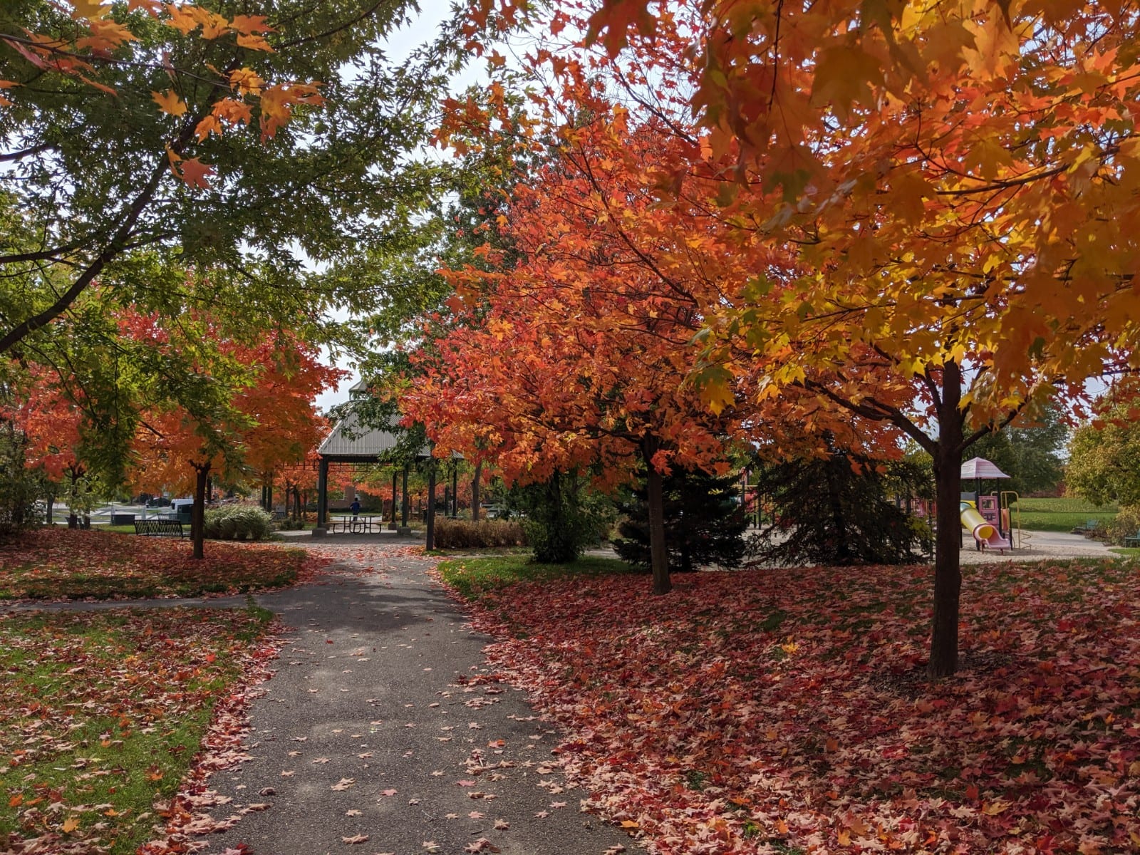 Russell Farm Park