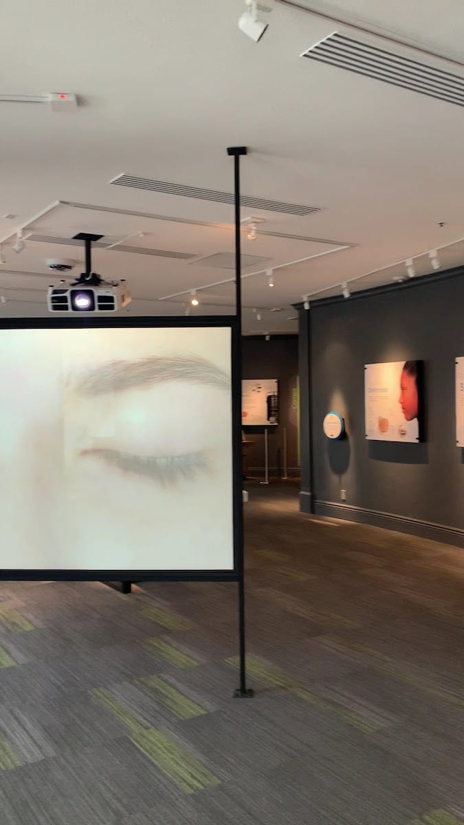 Truhlsen-Marmor Museum of the Eye, photo 2