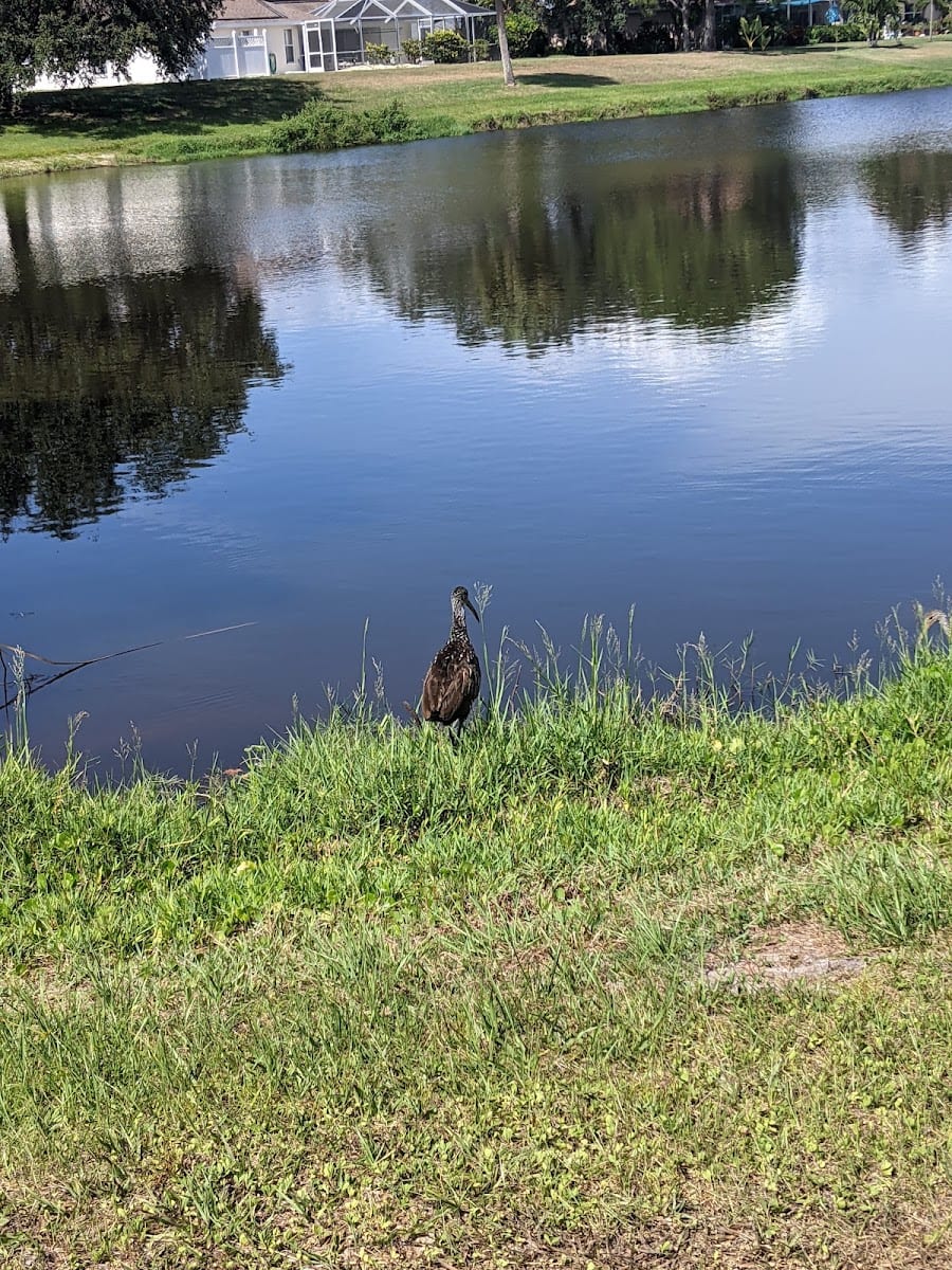 Long Marsh Golf Club, photo 3