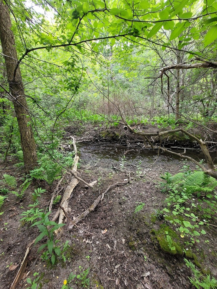 Vyner Greenbelt
