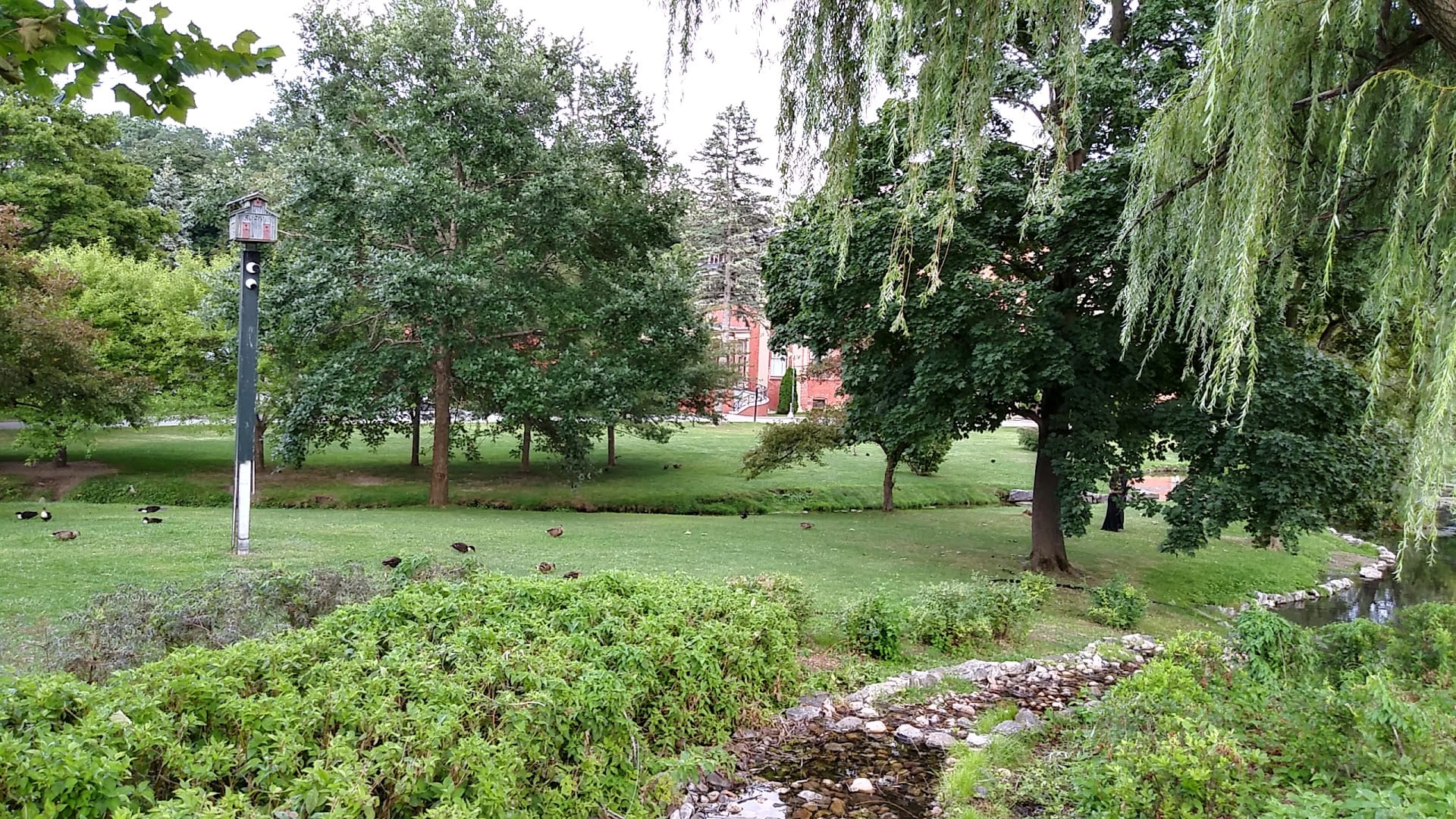 Hathorn Stream, photo 2