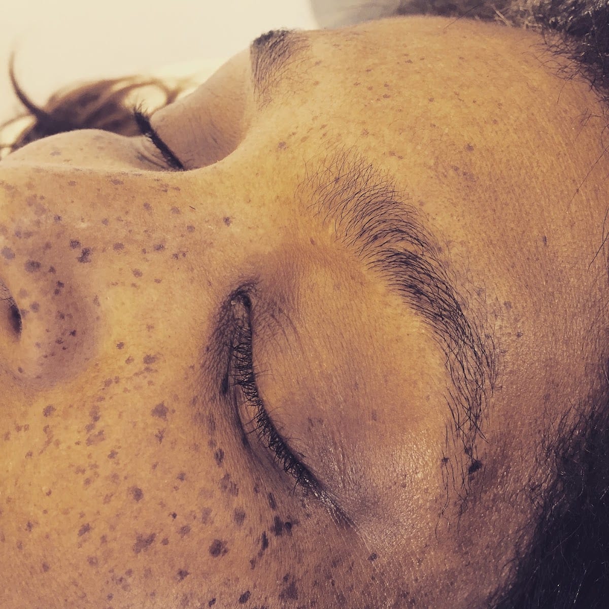 The Brow Smith, photo 4