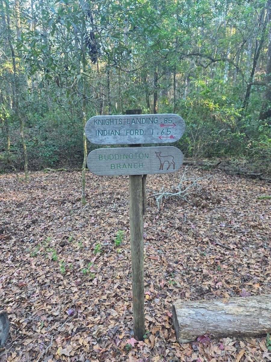 Pioneer Trailhead Parking, photo 2