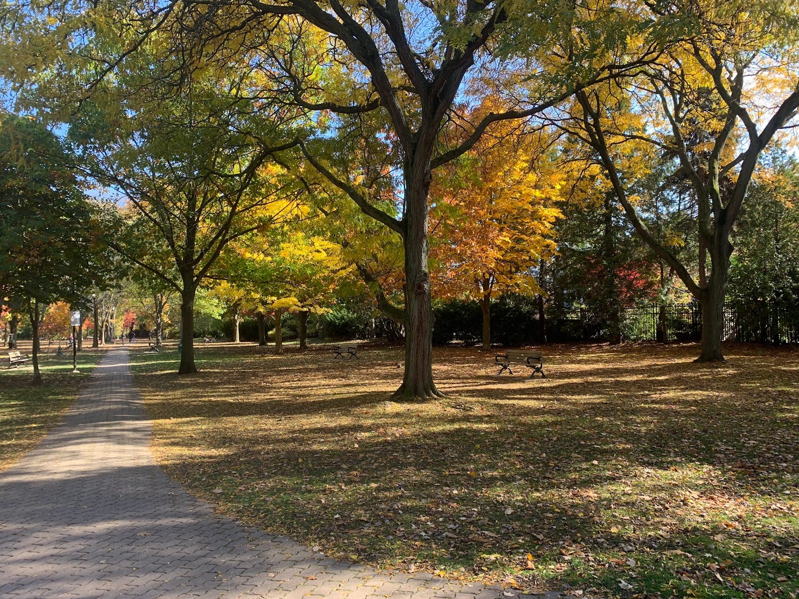Craigleigh Gardens, photo 3