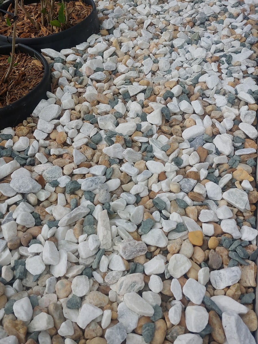 Total Landscape and Supply, photo 3