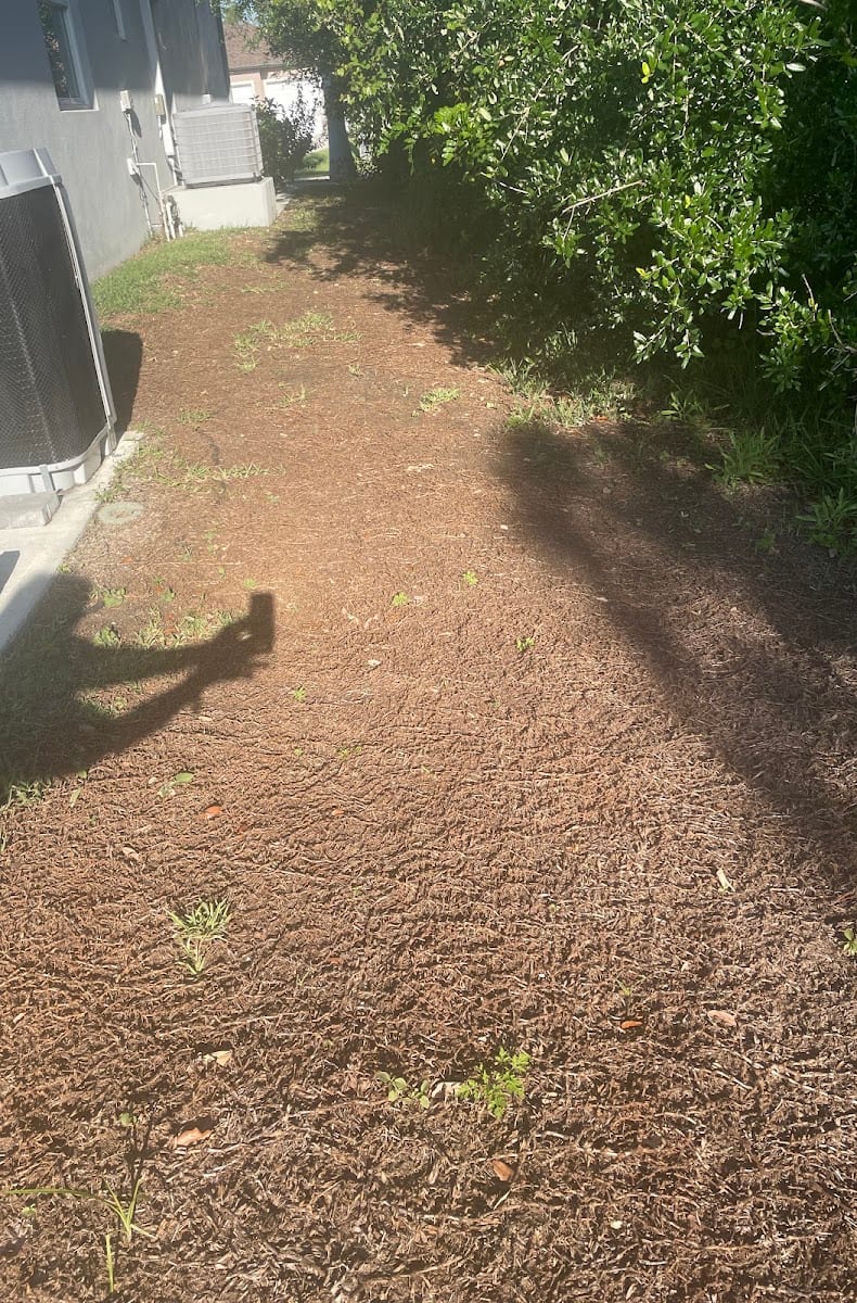 Problem Solved Pest Control