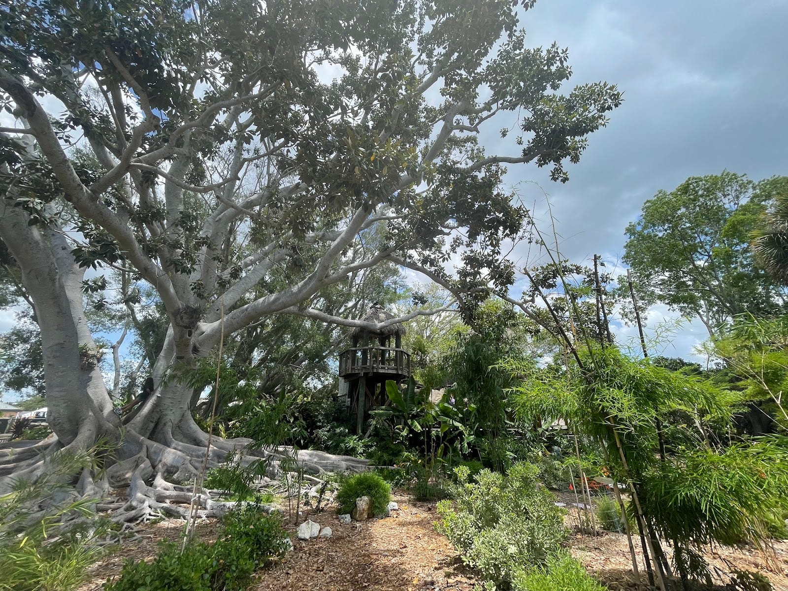 Children's Rainforest Playground