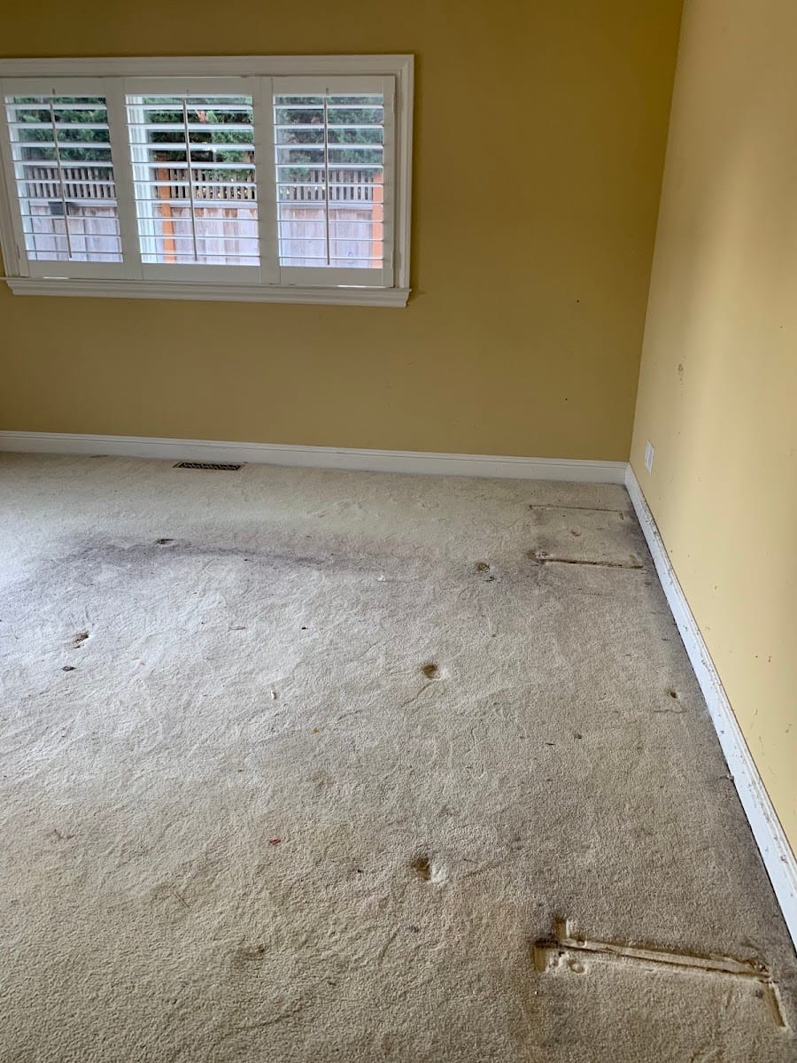 M&G Housecleaning & interiors painting, photo 2