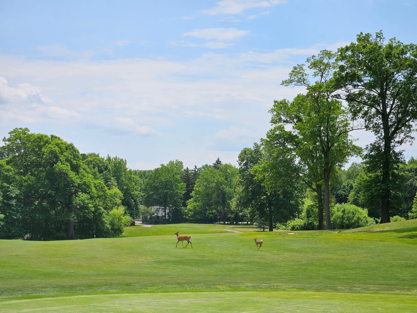 Orchard Hills Golf Course, photo 2
