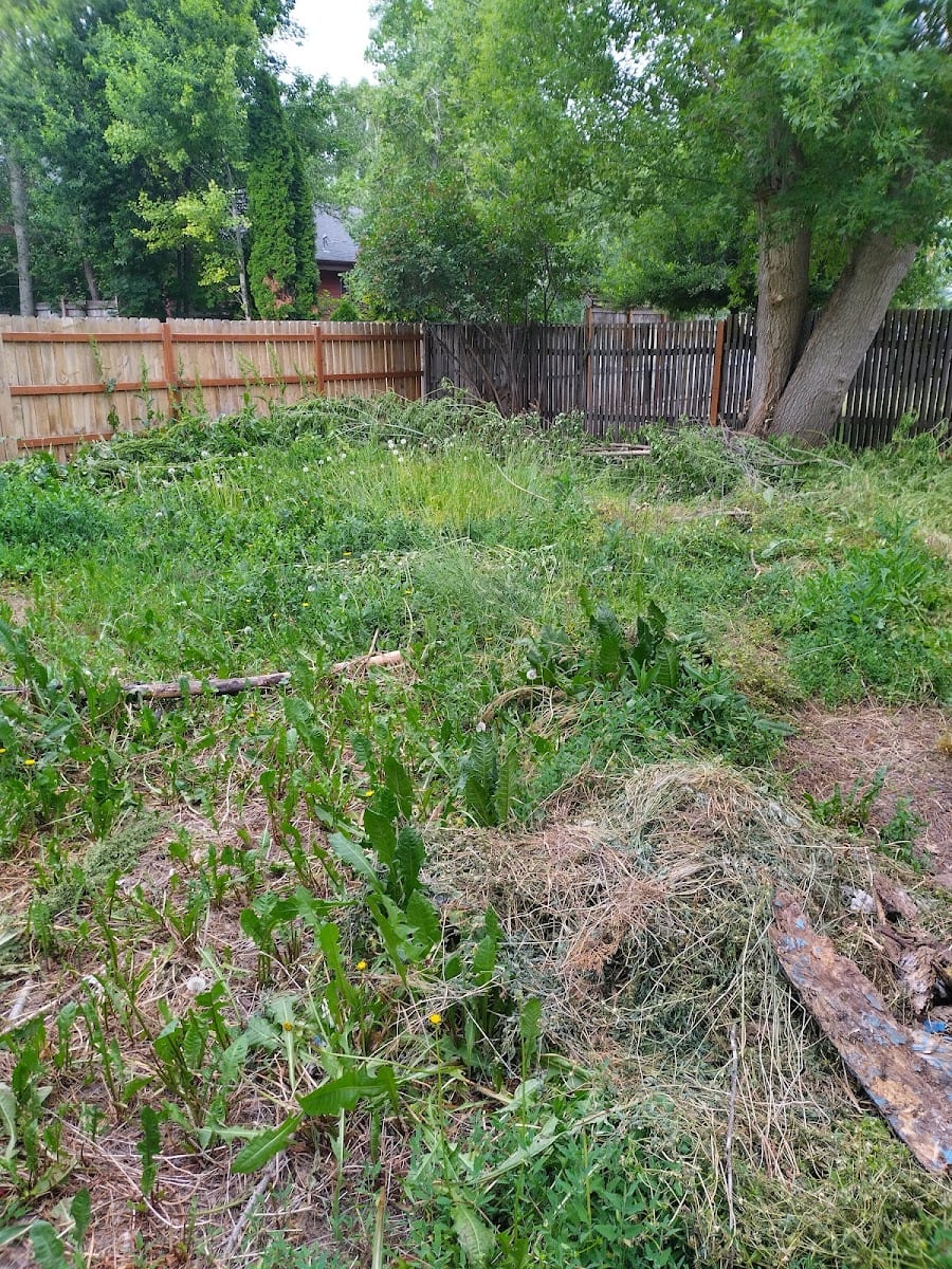 Cazares lawn care