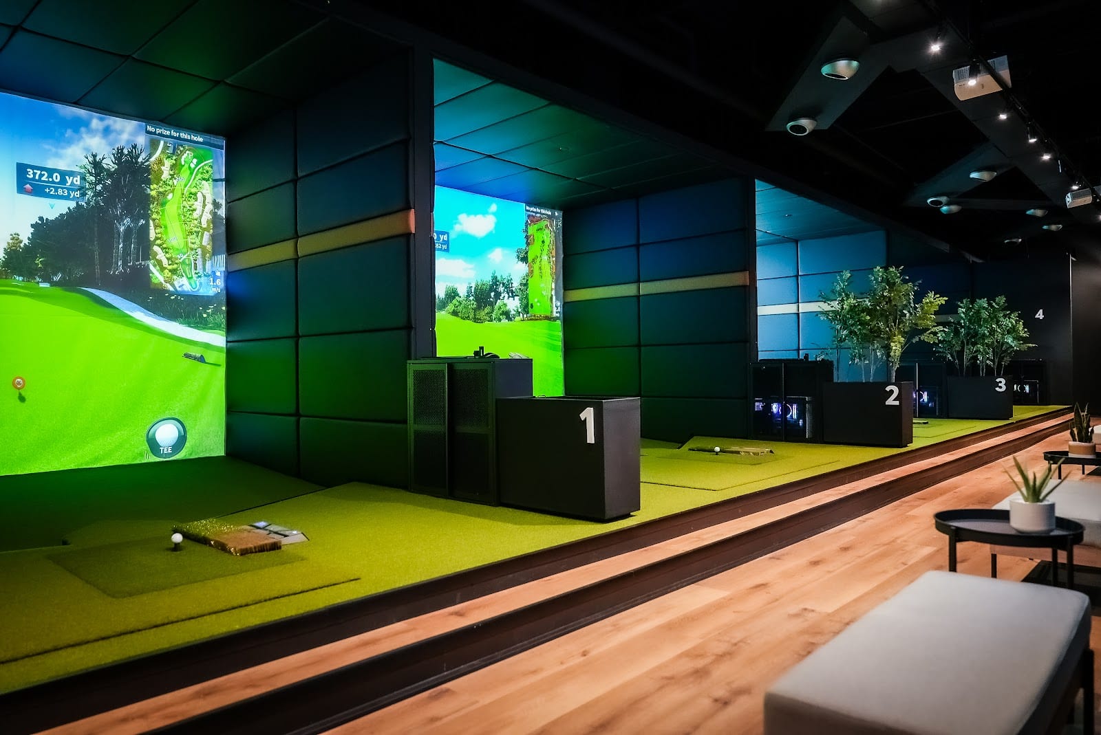 Nexus Golf, photo 2