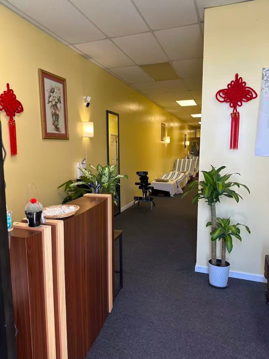 Rubi massage & license E-50113