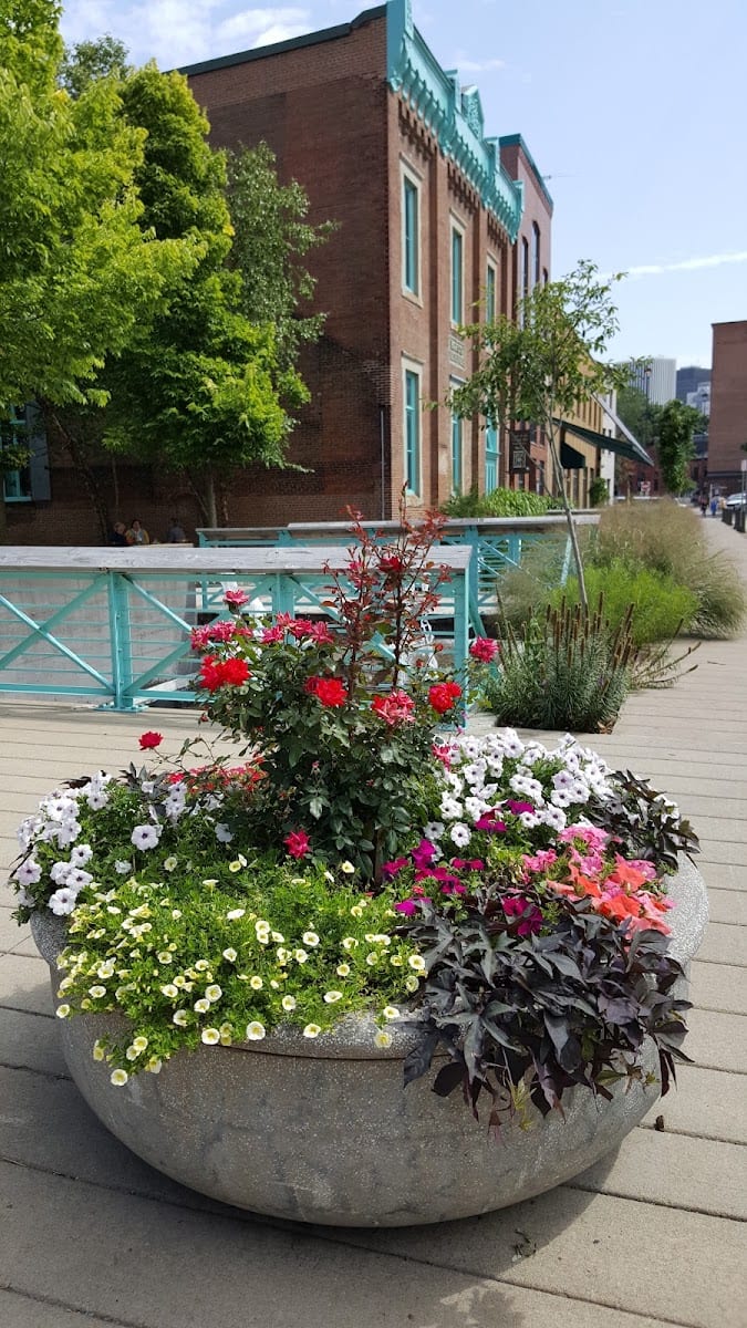 FlourGarden Park, photo 2