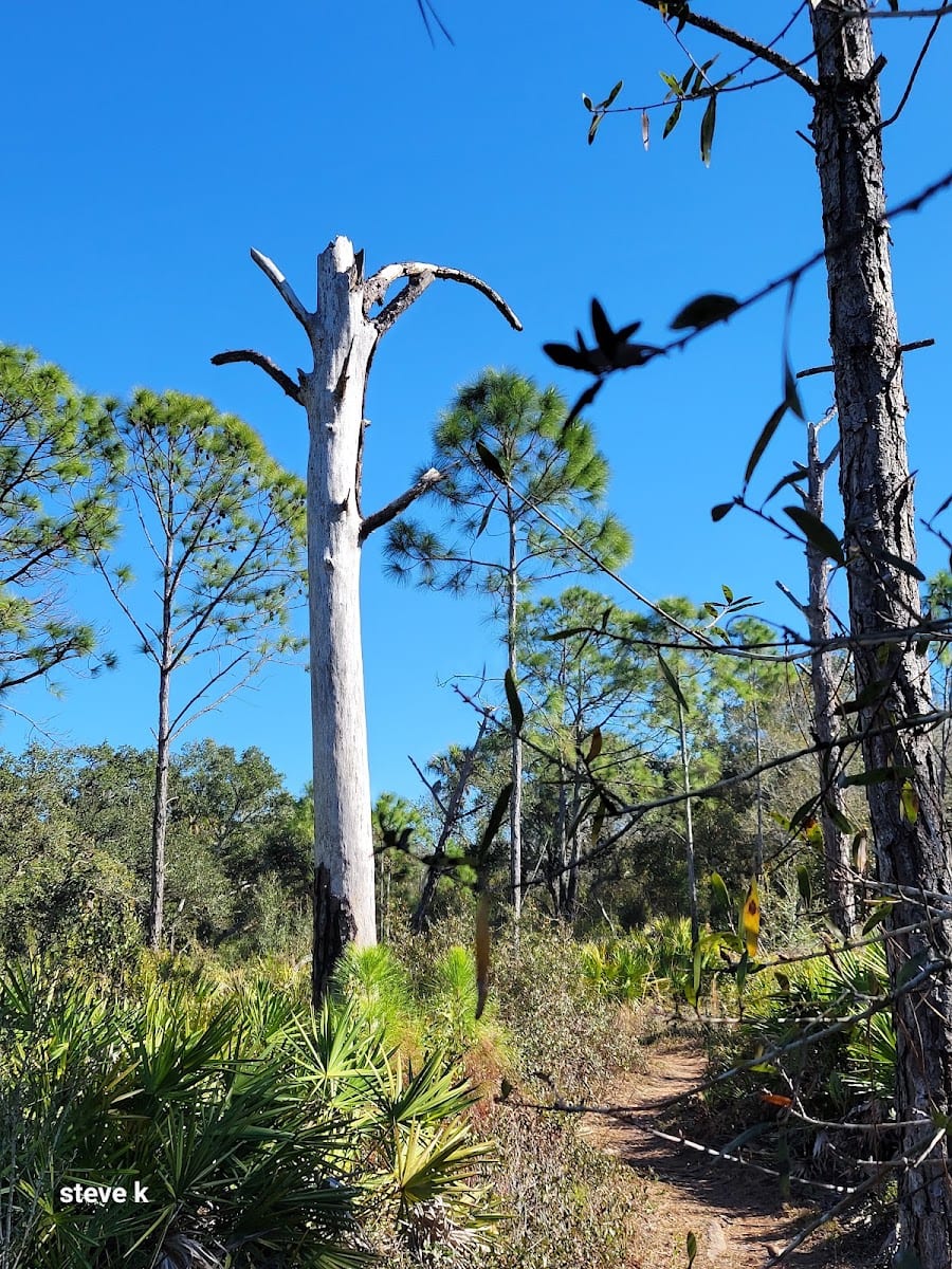 BoldyGo Trail