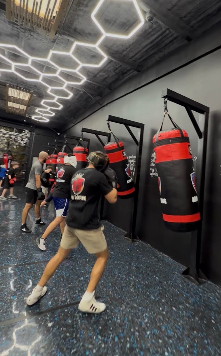 ARMBOXING, photo 3