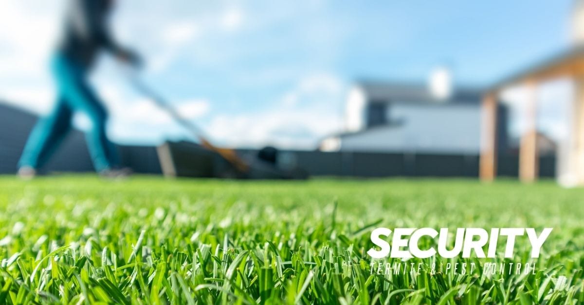 Security Termite & Pest Control