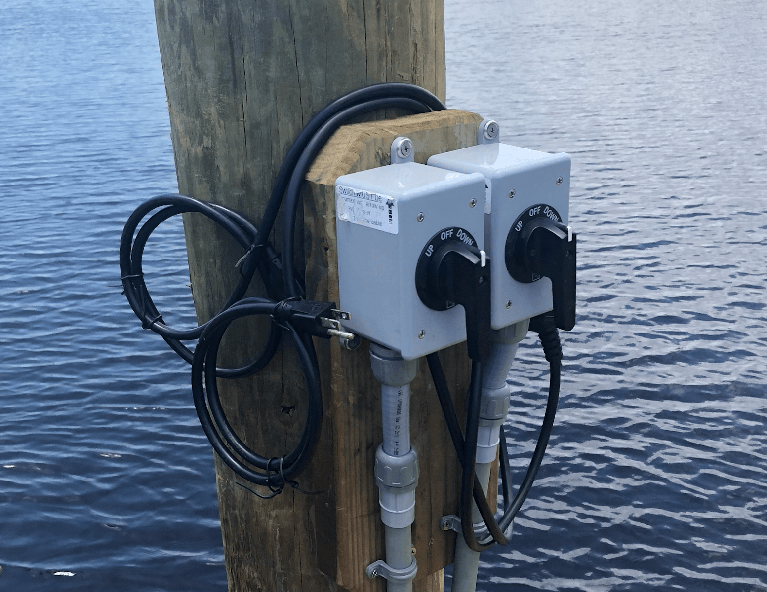 Venice Electric, photo 4