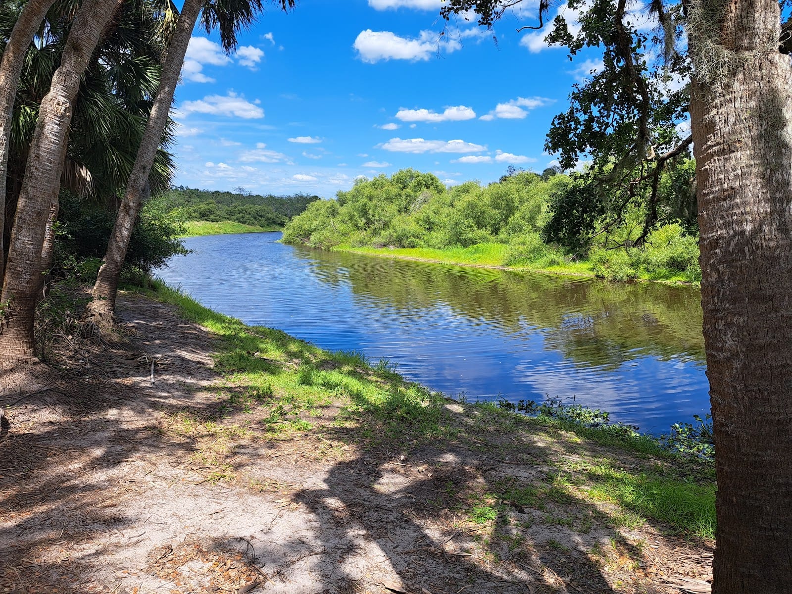 Myakka River State Park Big Flats Campground, photo 3