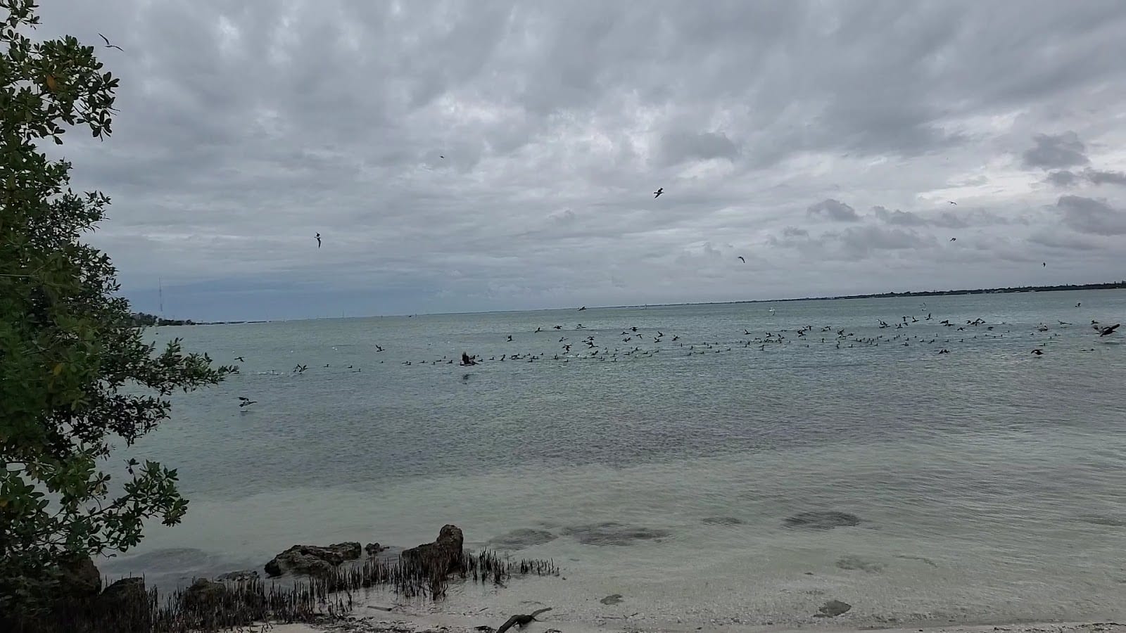 Ringling Bridge Causeway Park, photo 2