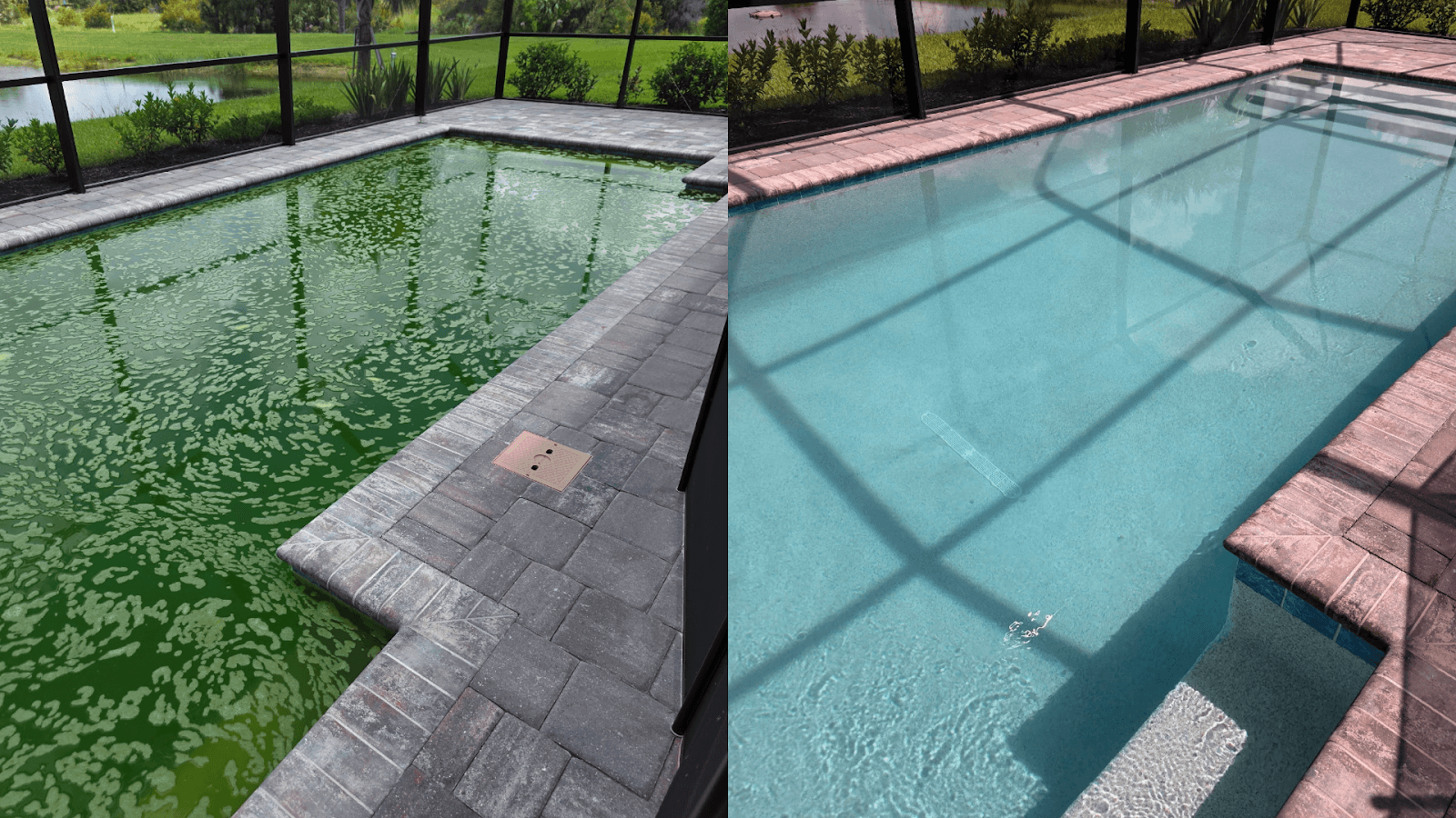 Liquid Assets Pool Services, photo 2