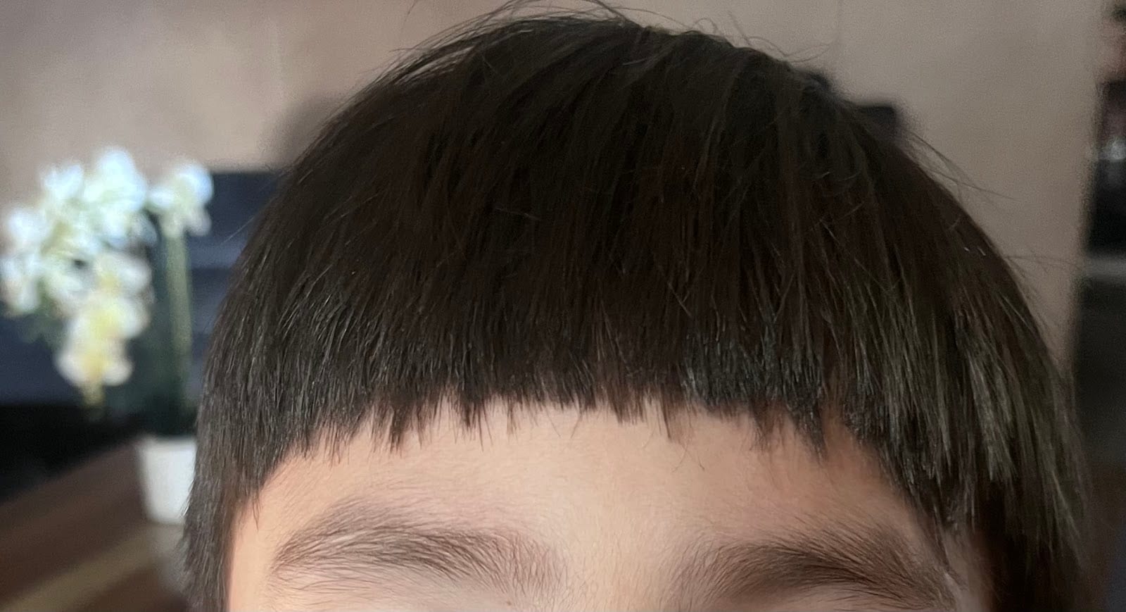 Spring Family Cuts, photo 3